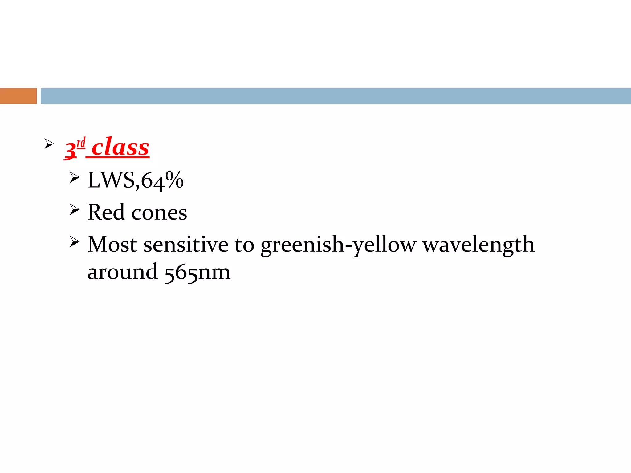  3rd
class
 LWS,64%
 Red cones
 Most sensitive to greenish-yellow wavelength
around 565nm
 