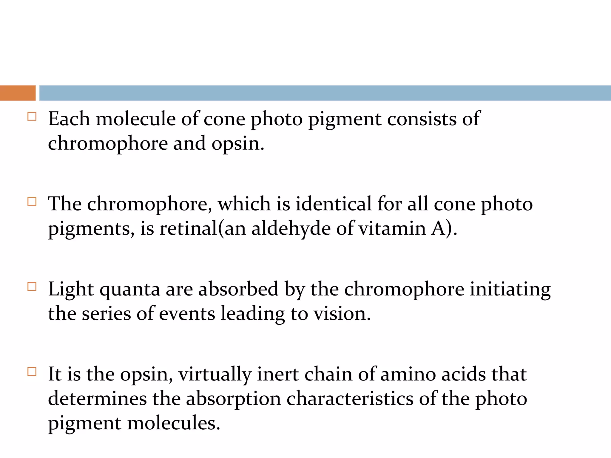  Each molecule of cone photo pigment consists of
chromophore and opsin.
 The chromophore, which is identical for all cone photo
pigments, is retinal(an aldehyde of vitamin A).
 Light quanta are absorbed by the chromophore initiating
the series of events leading to vision.
 It is the opsin, virtually inert chain of amino acids that
determines the absorption characteristics of the photo
pigment molecules.
 