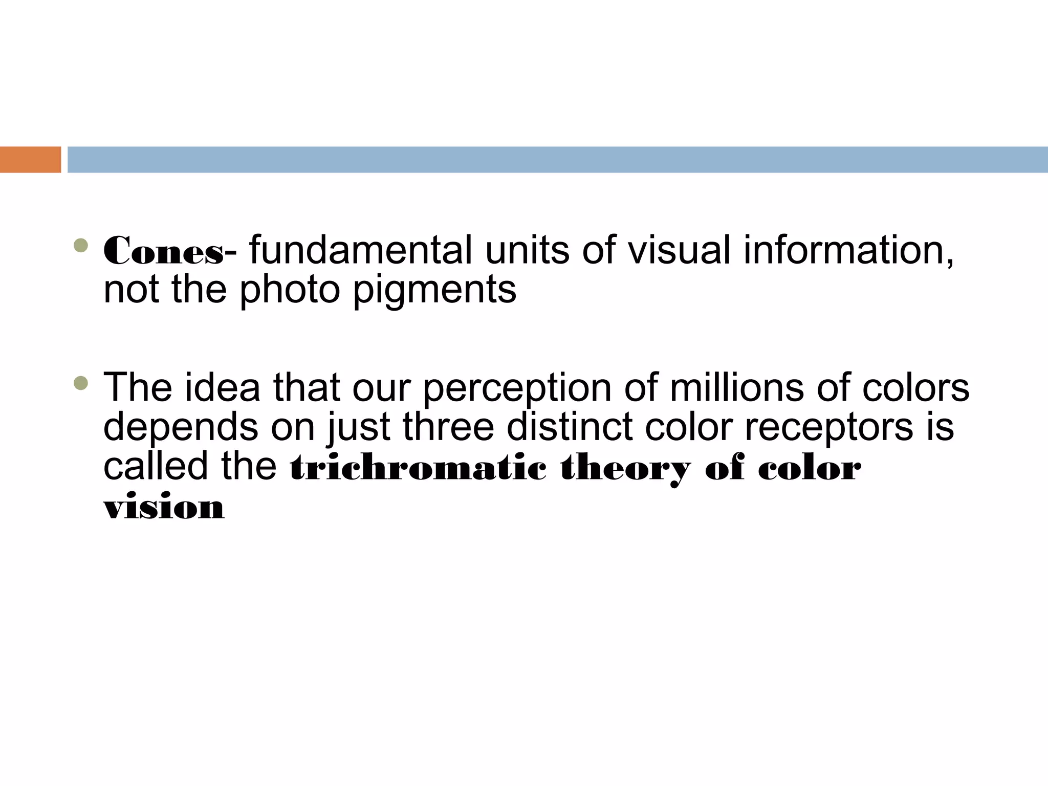 Cones- fundamental units of visual information,
not the photo pigments
 The idea that our perception of millions of colors
depends on just three distinct color receptors is
called the trichromatic theory of color
vision
 