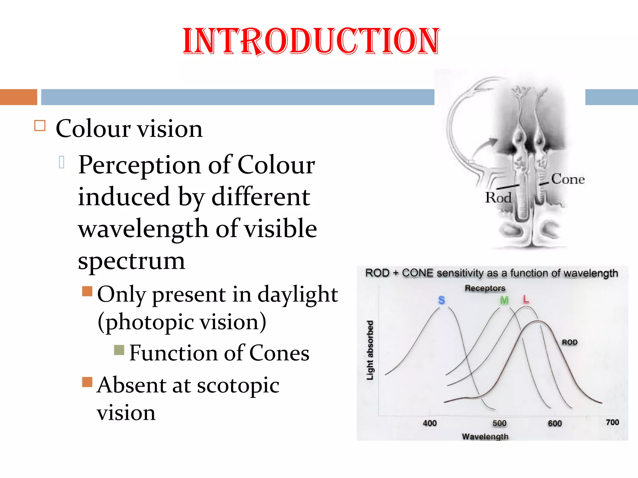 INtRODUCtION
 Colour vision
 Perception of Colour
induced by different
wavelength of visible
spectrum
 Only present in daylight
(photopic vision)
 Function of Cones
 Absent at scotopic
vision
 