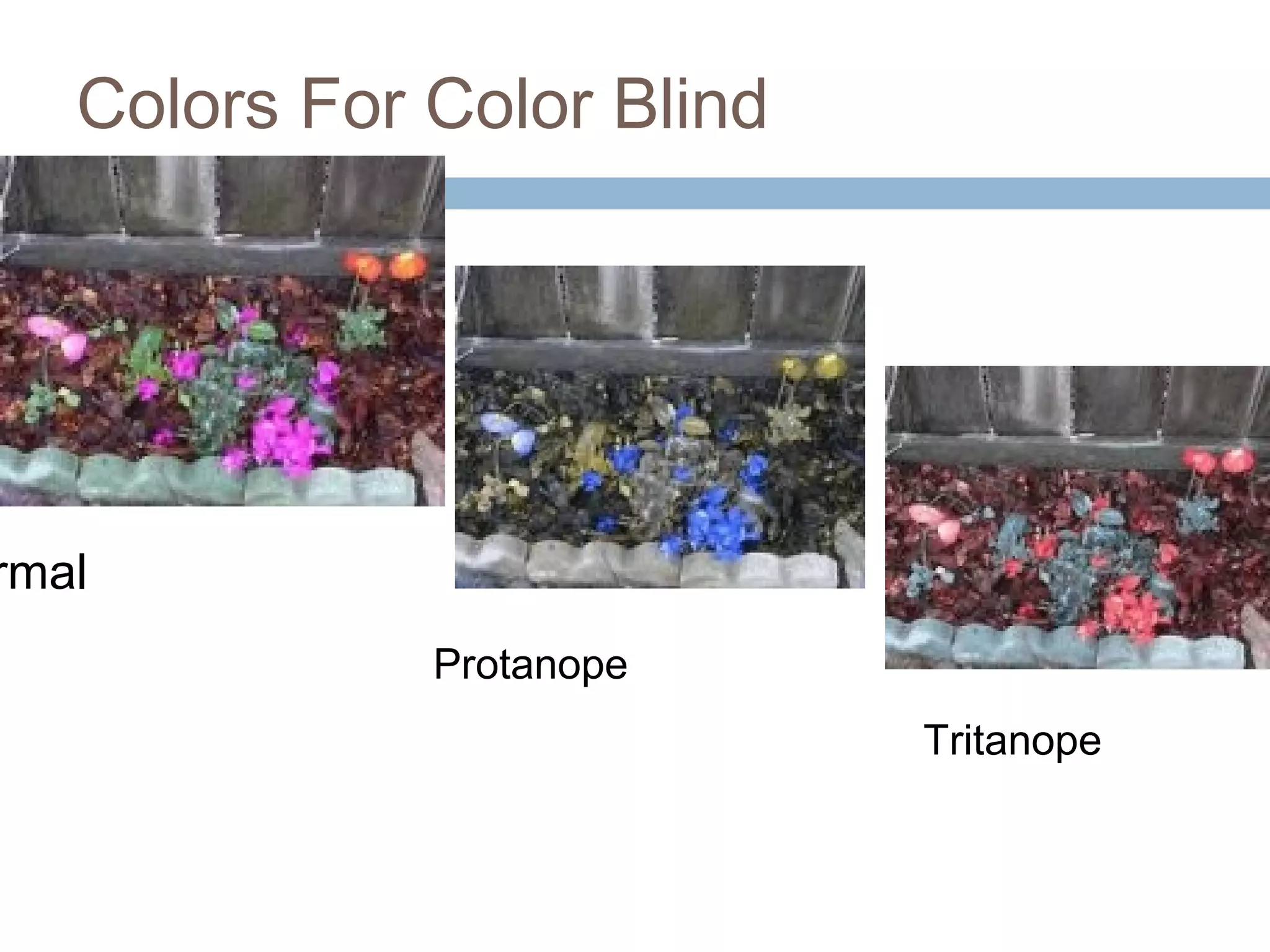 Colors For Color Blind
rmal
Protanope
Tritanope
 