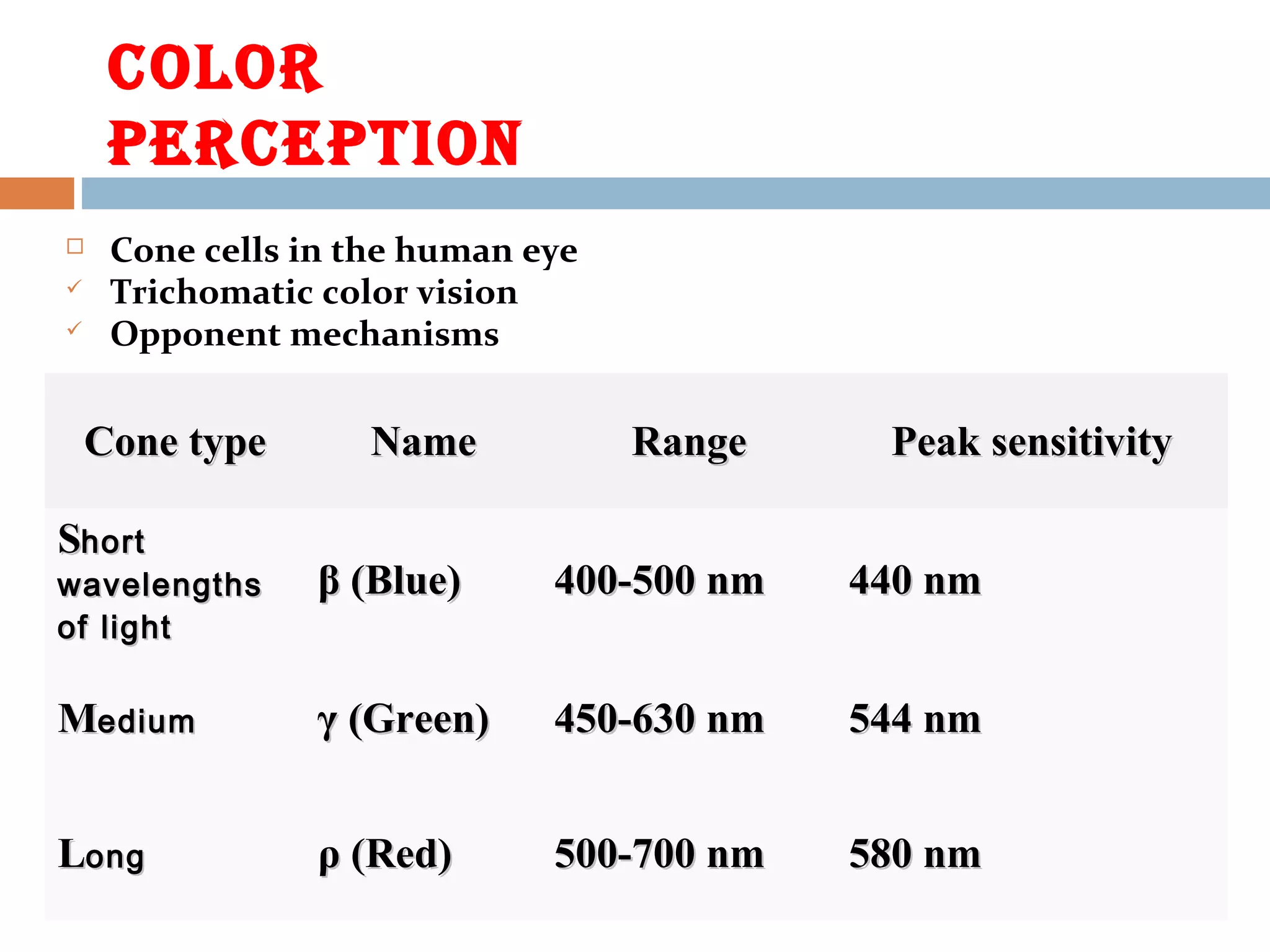 COLOR
PERCEPtION
 Cone cells in the human eye
 Trichomatic color vision
 Opponent mechanisms
Cone typeCone type NameName RangeRange Peak sensitivityPeak sensitivity
SShorthort
wavelengthswavelengths
of lightof light
β (Blue)β (Blue) 400-400-500 nm500 nm 440 nm440 nm
MMediumedium γ (Green)γ (Green) 450-630 nm450-630 nm 544 nm544 nm
LLongong ρ (Red)ρ (Red) 500-700 nm500-700 nm 580 nm580 nm
 