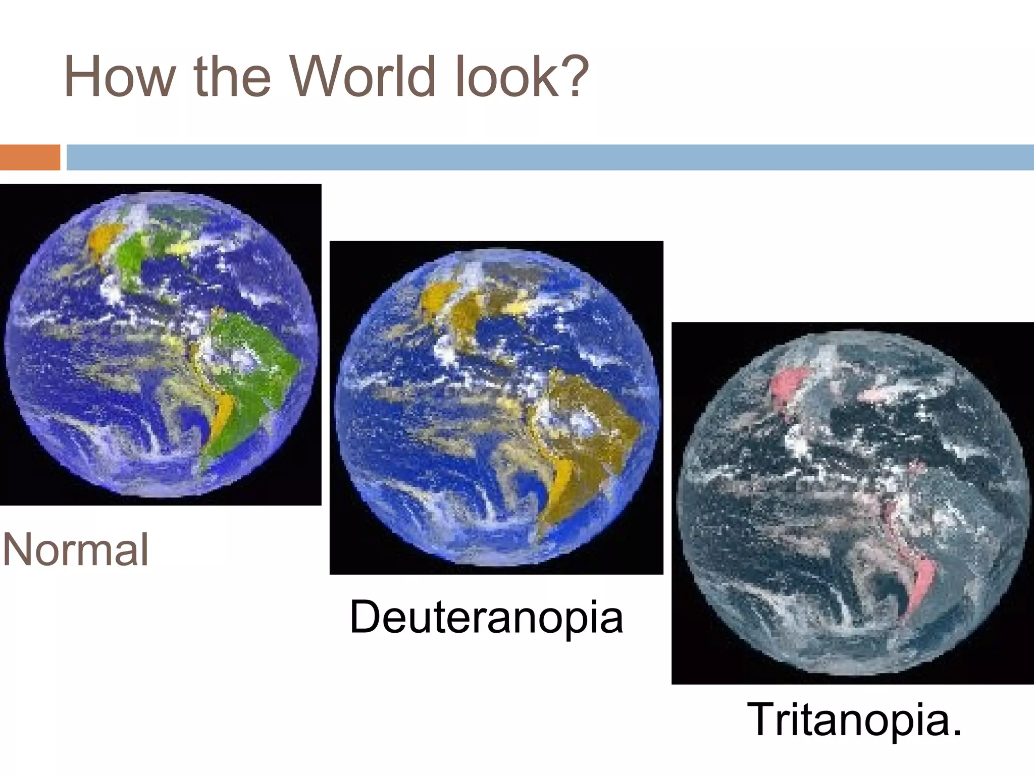 How the World look?
Deuteranopia
Tritanopia.
Normal
 