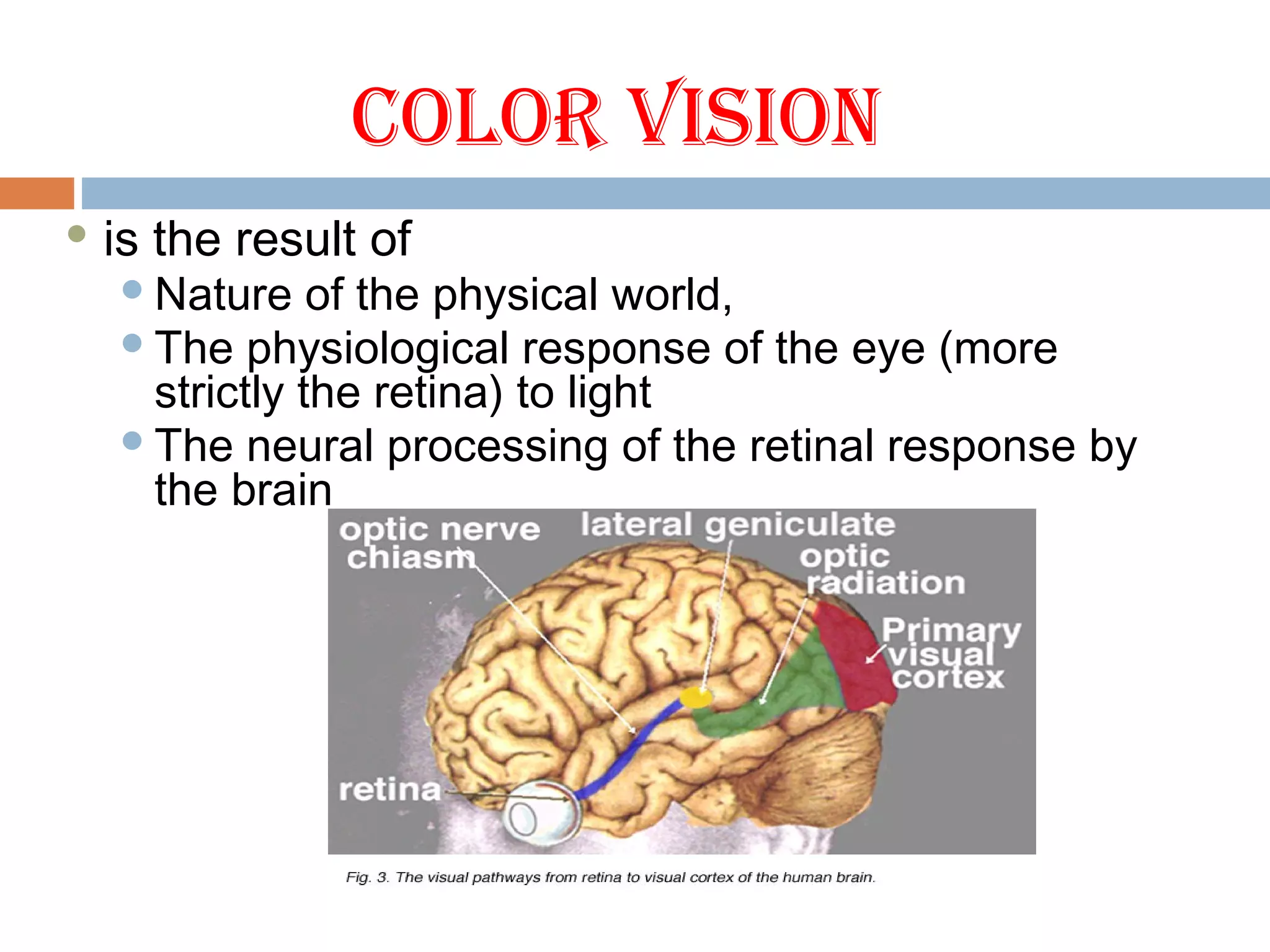 COLOR VISION
 is the result of
Nature of the physical world,
The physiological response of the eye (more
strictly the retina) to light
The neural processing of the retinal response by
the brain
 
