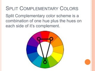 SPLIT COMPLEMENTARY COLORS 
Split Complementary color scheme is a 
combination of one hue plus the hues on 
each side of it’s complement. 
 
