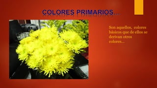 Son aquellos, colores
básicos que de ellos se
derivan otros
colores…
 