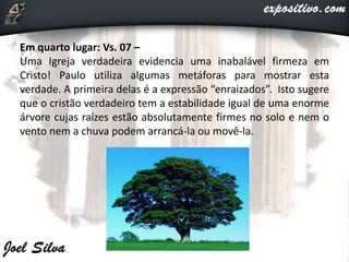 Em quarto lugar: Vs. 07 –
Uma Igreja verdadeira evidencia uma inabalável firmeza em
Cristo! Paulo utiliza algumas metáforas para mostrar esta
verdade. A primeira delas é a expressão “enraizados”. Isto sugere
que o cristão verdadeiro tem a estabilidade igual de uma enorme
árvore cujas raízes estão absolutamente firmes no solo e nem o
vento nem a chuva podem arrancá-la ou movê-la.
 