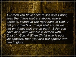 Colossians