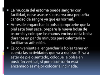  La mucosa del estoma puede sangrar con
  facilidad, no se asuste si observa una pequeña
  cantidad de sangre ya que es normal.
 Antes de enganchar la bolsa compruebe que la
  piel esté bien seca, prepare la nueva bolsa de
  ostomía y coloque las manos encima de la bolsa
  durante un par de minutos para calentarla y
  facilitar su adhesión.
 Es conveniente al enganchar la bolsa tener en
  cuenta las actividades que va a realizar. Si va a
  estar de pie o sentado, coloque la bolsa en
  posición vertical, si por el contrario está
  encamado es mejor colocarla inclinada.
 