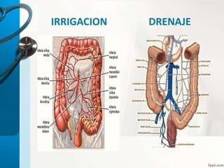 IRRIGACION DRENAJE
 