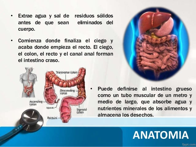 Libro de fuller instrumentacion quirurgica pdf