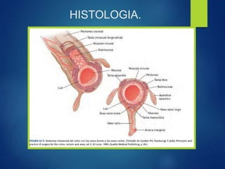 HISTOLOGIA.
 