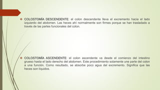  COLOSTOMÍA DESCENDENTE: el colon descendente lleva el excremento hacia el lado
izquierdo del abdomen. Las heces ahí normalmente son firmes porque se han trasladado a
través de las partes funcionales del colon.
 COLOSTOMÍA ASCENDENTE: el colon ascendente va desde el comienzo del intestino
grueso hasta el lado derecho del abdomen. Este procedimiento solamente une parte del colon
a una función. Como resultado, se absorbe poco agua del excremento. Significa que las
heces son líquidos.
 