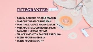 • CALVAY AGUIRRE FIORELA MARLIN
• MARQUEZ BRAN CARLOS JEAN
• MARTINEZ JUAREZ ROCIO ELIZABETH
• MIO APONTE SOCORRO DEL PILAR
• PASACHE HUERTAS FATIMA
• SIANCAS MONZON SANDRA CAROLINA
• TEZEN REQUENA GLORIA
• TEZEN REQUENA KATHY
 