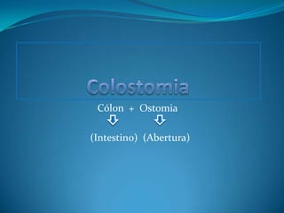 Cólon + Ostomia

(Intestino) (Abertura)
 