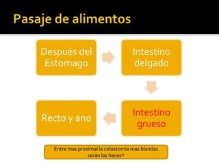 Después del                        Intestino
 Estomago                           delgado



                                   Intestino
Recto y ano
                                    grueso

  Entre mas proximal la colostomía mas blandas
                serán las heces*
 