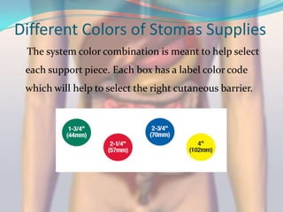 Normal Ostomy Color Colostomies project | PPTX