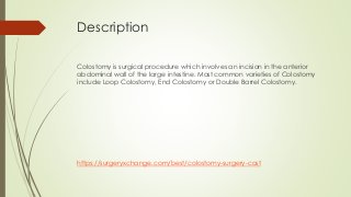 Description
Colostomy is surgical procedure which involves an incision in the anterior
abdominal wall of the large intestine. Most common varieties of Colostomy
include Loop Colostomy, End Colostomy or Double Barrel Colostomy.
https://surgeryxchange.com/best/colostomy-surgery-cost
 