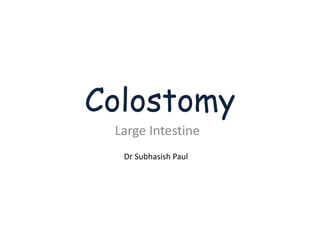 Colostomy
Large Intestine
Dr Subhasish Paul
 