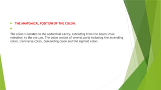  THE ANATOMICAL POSITION OF THE COLON.

The colon is located in the abdominal cavity, extending from the ileum(small
intestine) to the rectum. The colon consist of several parts including the ascending
colon, transverse colon, descending colon and the sigmoid colon.
 