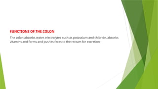 FUNCTIONS OF THE COLON
The colon absorbs water, electrolytes such as potassium and chloride, absorbs
vitamins and forms and pushes feces to the rectum for excretion
 
