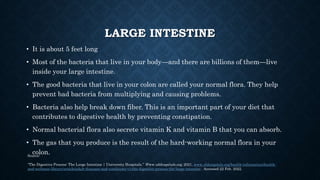 LARGE INTESTINE
• It is about 5 feet long
• Most of the bacteria that live in your body—and there are billions of them—liv...