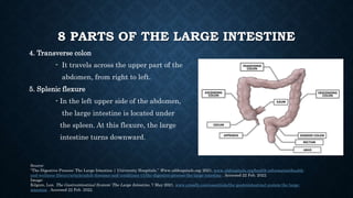 8 PARTS OF THE LARGE INTESTINE
4. Transverse colon
- It travels across the upper part of the
abdomen, from right to left.
...