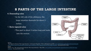 8 PARTS OF THE LARGE INTESTINE
6. Descending colon
- In the left side of the abdomen, the
large intestine descends for abo...