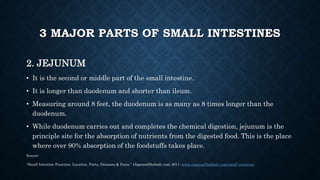 3 MAJOR PARTS OF SMALL INTESTINES
2. JEJUNUM
• It is the second or middle part of the small intestine.
• It is longer than...