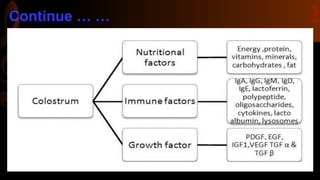 Continue … …
©Sajib
 