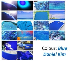 Colour: Blue
Daniel Kim
 