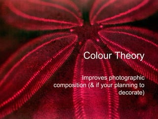 Colour Theory
Improves photographic
composition (& if your planning to
decorate)
 