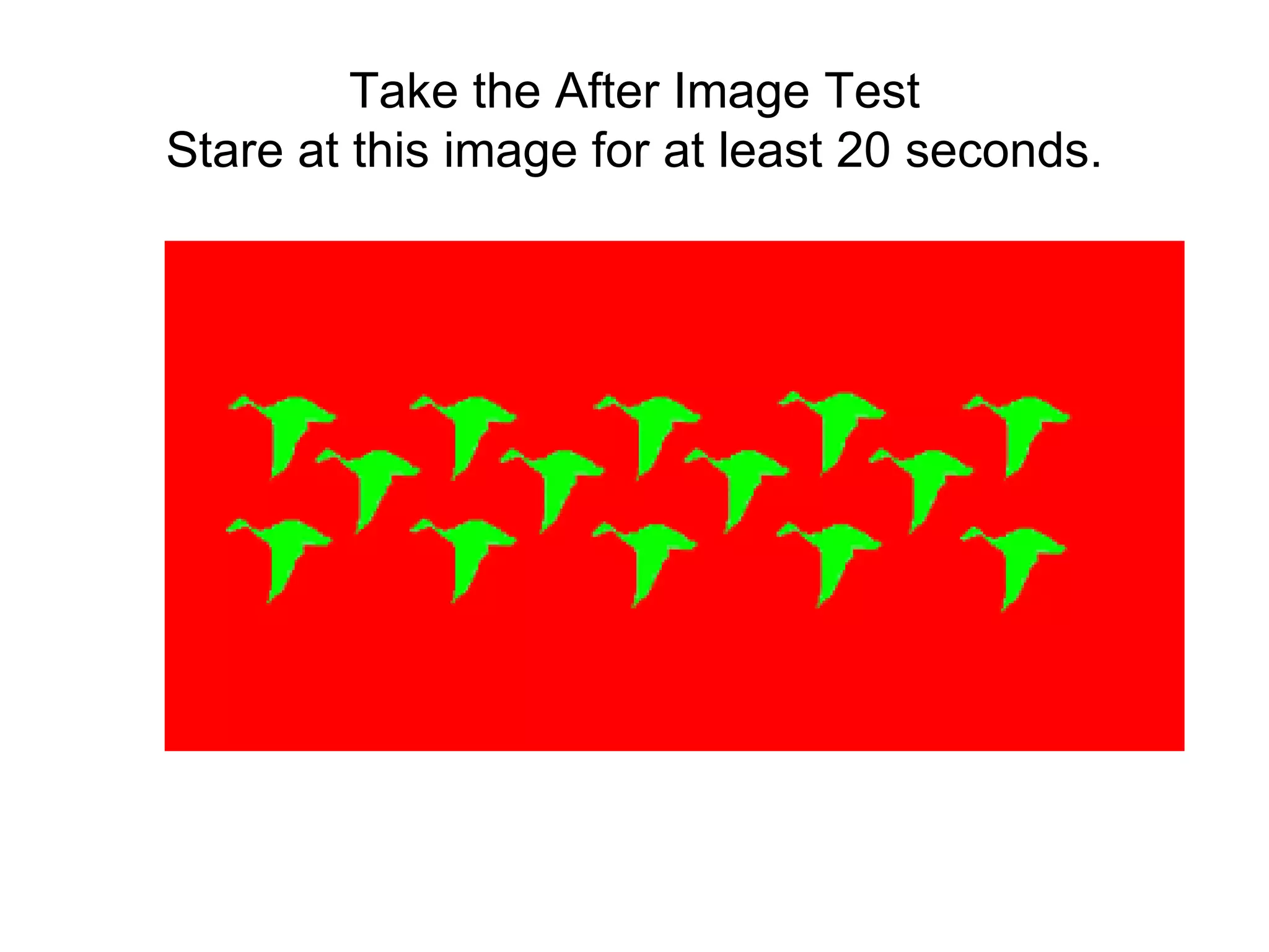 Take the After Image Test Stare at this image for at least 20 seconds. 
