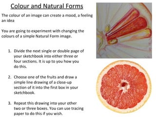 Colour and Natural Forms
The colour of an image can create a mood, a feeling
an idea
You are going to experiment with changing the
colours of a simple Natural Form image.
1. Divide the next single or double page of
your sketchbook into either three or
four sections. It is up to you how you
do this.
2. Choose one of the fruits and draw a
simple line drawing of a close-up
section of it into the first box in your
sketchbook.
3. Repeat this drawing into your other
two or three boxes. You can use tracing
paper to do this if you wish.

 