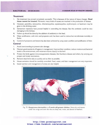 A Colour Atlas of Poultry Diseases. | PDF