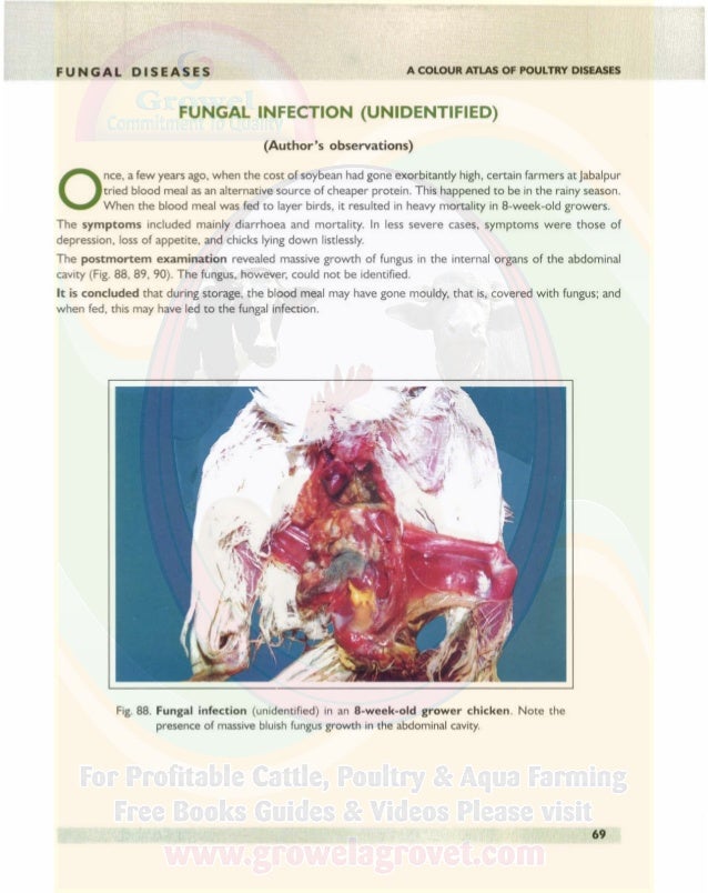 read enzymes in biomass conversion 1991