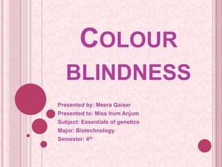 COLOUR
BLINDNESS
Presented by: Meera Qaiser
Presented to: Miss Irum Anjum
Subject: Essentials of genetics
Major: Biotechnology
Semester: 4th

 
