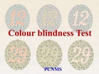 Colour blindness Test
PCNMS
 