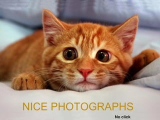 NICE PHOTOGRAPHS
             No click
 