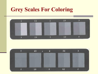 Grey Scales For Coloring
 