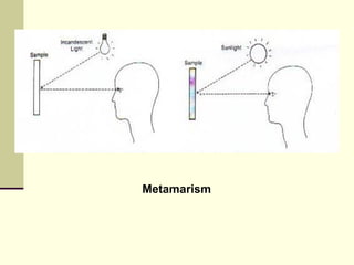 Metamarism
 