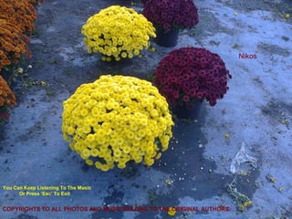 Nikos




You Can Keep Listening To The Music
      Or Press ‘Esc’ To Exit


COPYRIGHTS TO ALL PHOTOS AND MUSIC BELONG TO THE ORIGINAL AUTHORS.
 