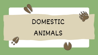 DOMESTIC
ANIMALS
 