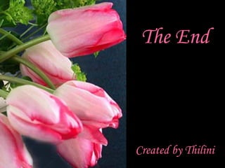 The End Created by Thilini 