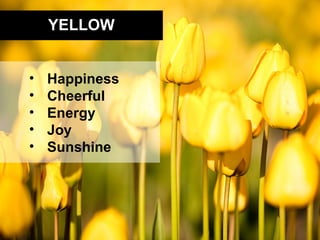 YELLOW


•   Happiness
•   Cheerful
•   Energy
•   Joy
•   Sunshine
 