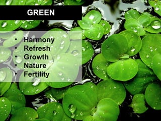 GREEN


•   Harmony
•   Refresh
•   Growth
•   Nature
•   Fertility
 