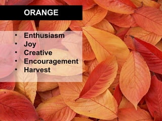 ORANGE

•   Enthusiasm
•   Joy
•   Creative
•   Encouragement
•   Harvest
 