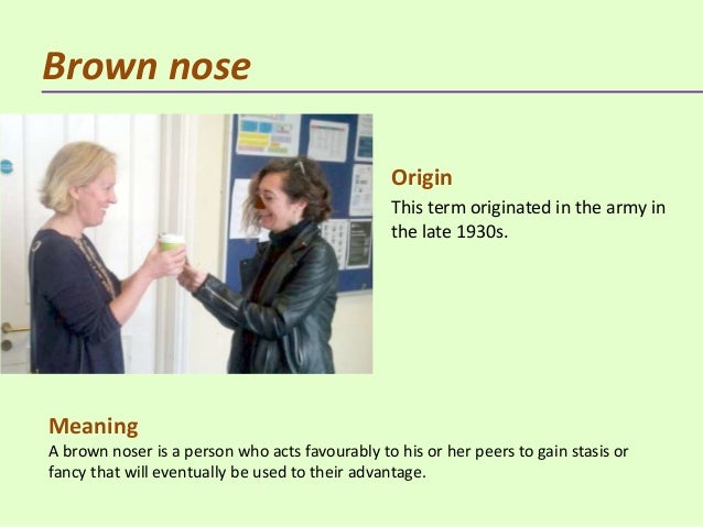 Characteristics of a brown-noser picture