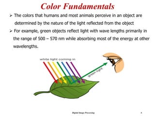 Digital Image Processing 4
Color Fundamentals
➢ The colors that humans and most animals perceive in an object are
determined by the nature of the light reflected from the object
➢ For example, green objects reflect light with wave lengths primarily in
the range of 500 – 570 nm while absorbing most of the energy at other
wavelengths.
 