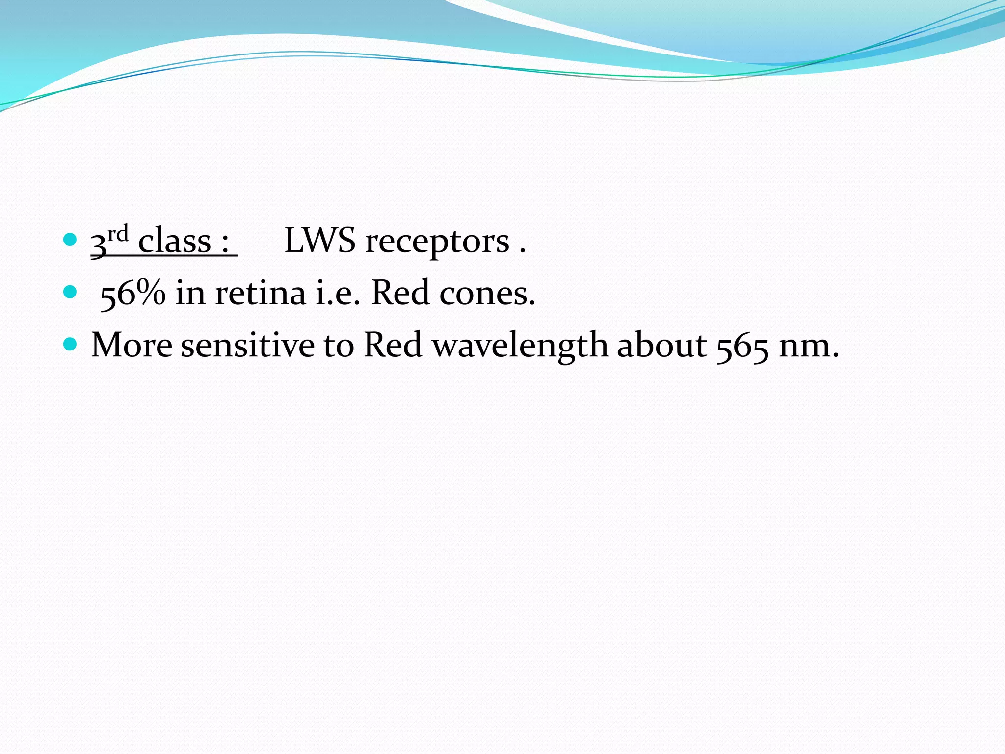  3rd class : LWS receptors .
 56% in retina i.e. Red cones.
 More sensitive to Red wavelength about 565 nm.
 